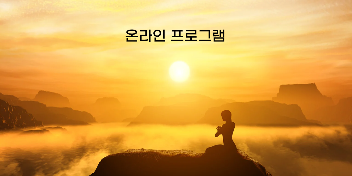 온라인 프로그램_모바일